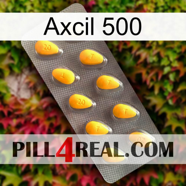 Axcil 500 cialis1